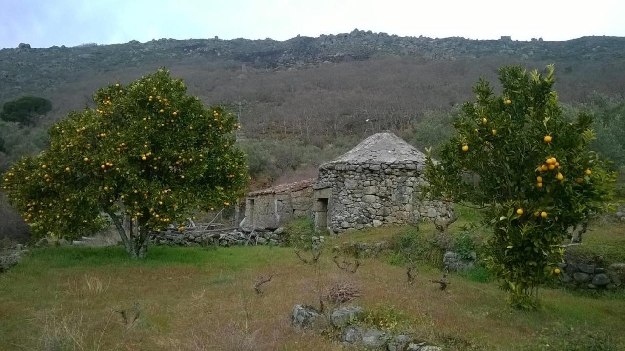 6 Hermanas Country house San Martin De Trevejo